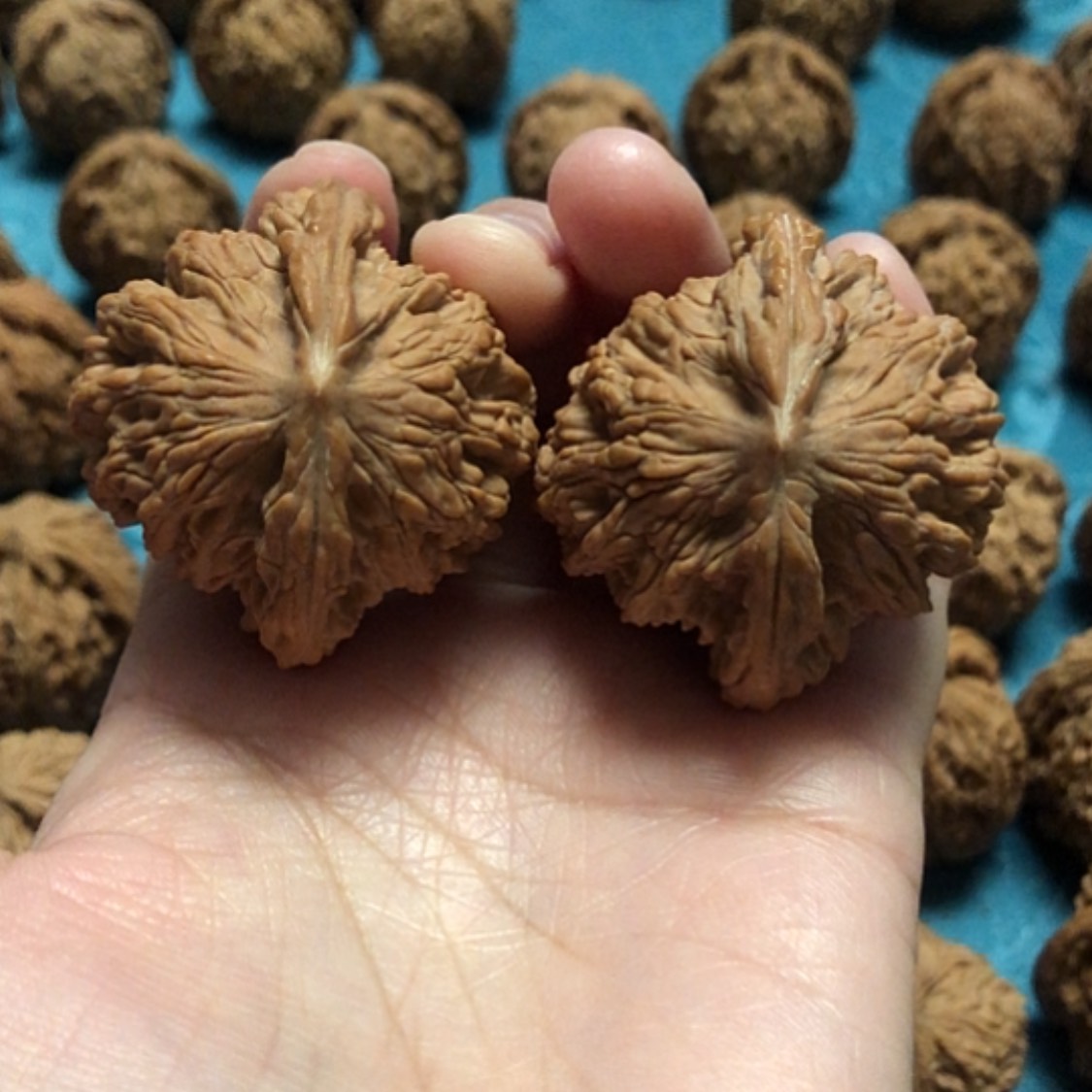 【闪购商品】文玩核桃把件龙*麦穗虎头