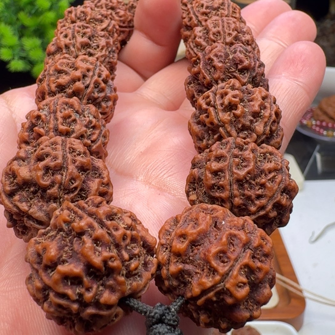 手串金刚菩提粗筋蜂窝双龙