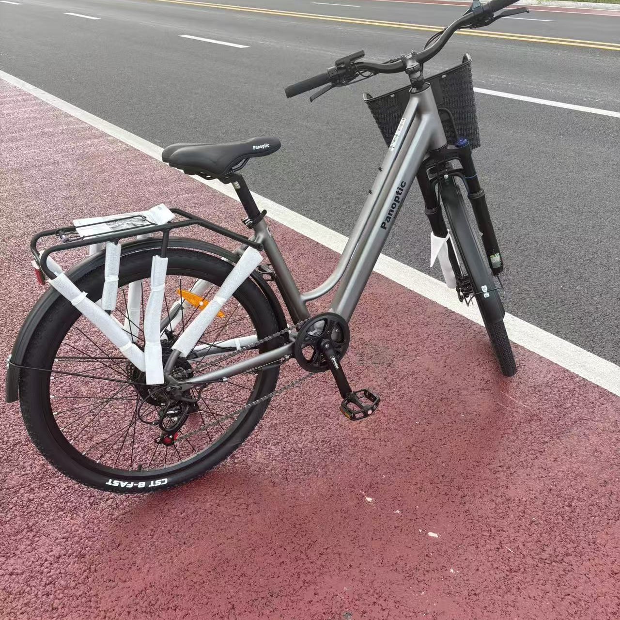 进口派克男女同款自行车