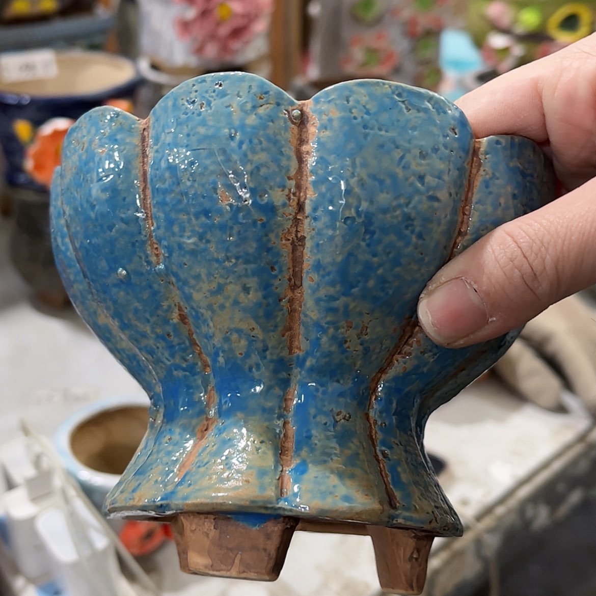 【闪购商品】红陶福利