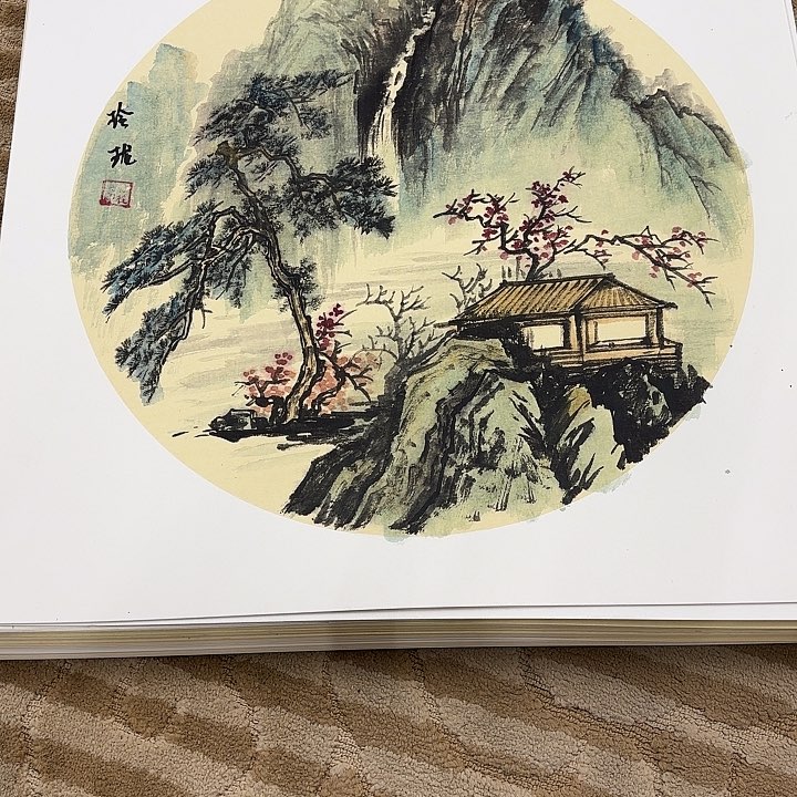国画花鸟的翅膀和翅膀都是白色