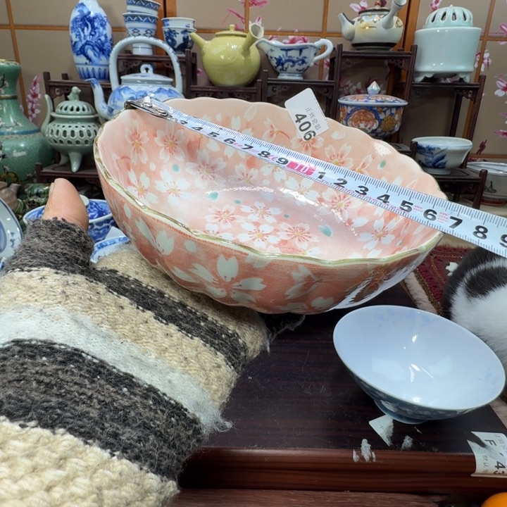 碟406啊啊啊啊啊啊啊啊啊啊啊啊