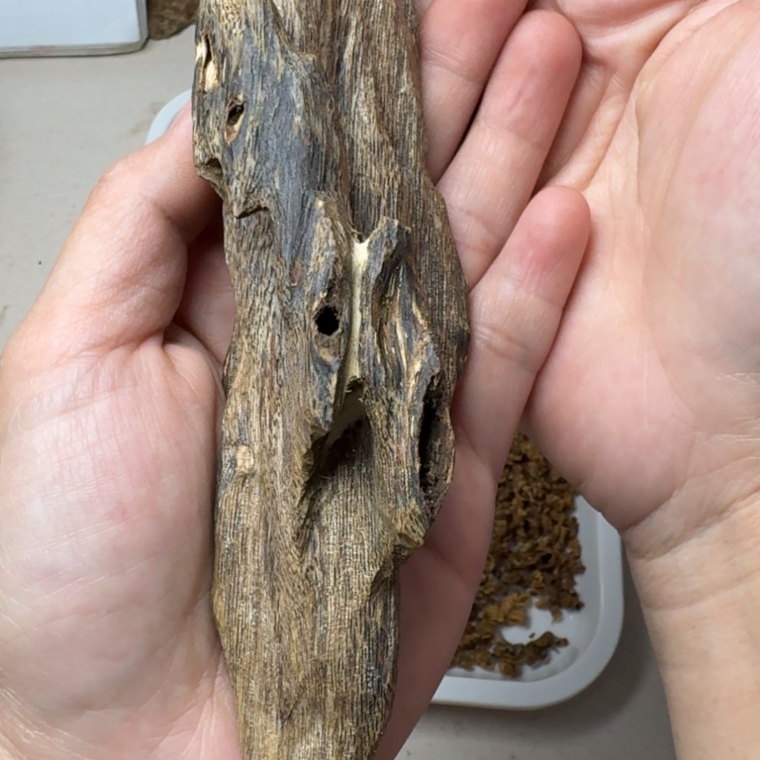 沉香沉香碎屑?****哈绿棋纯虫漏41克