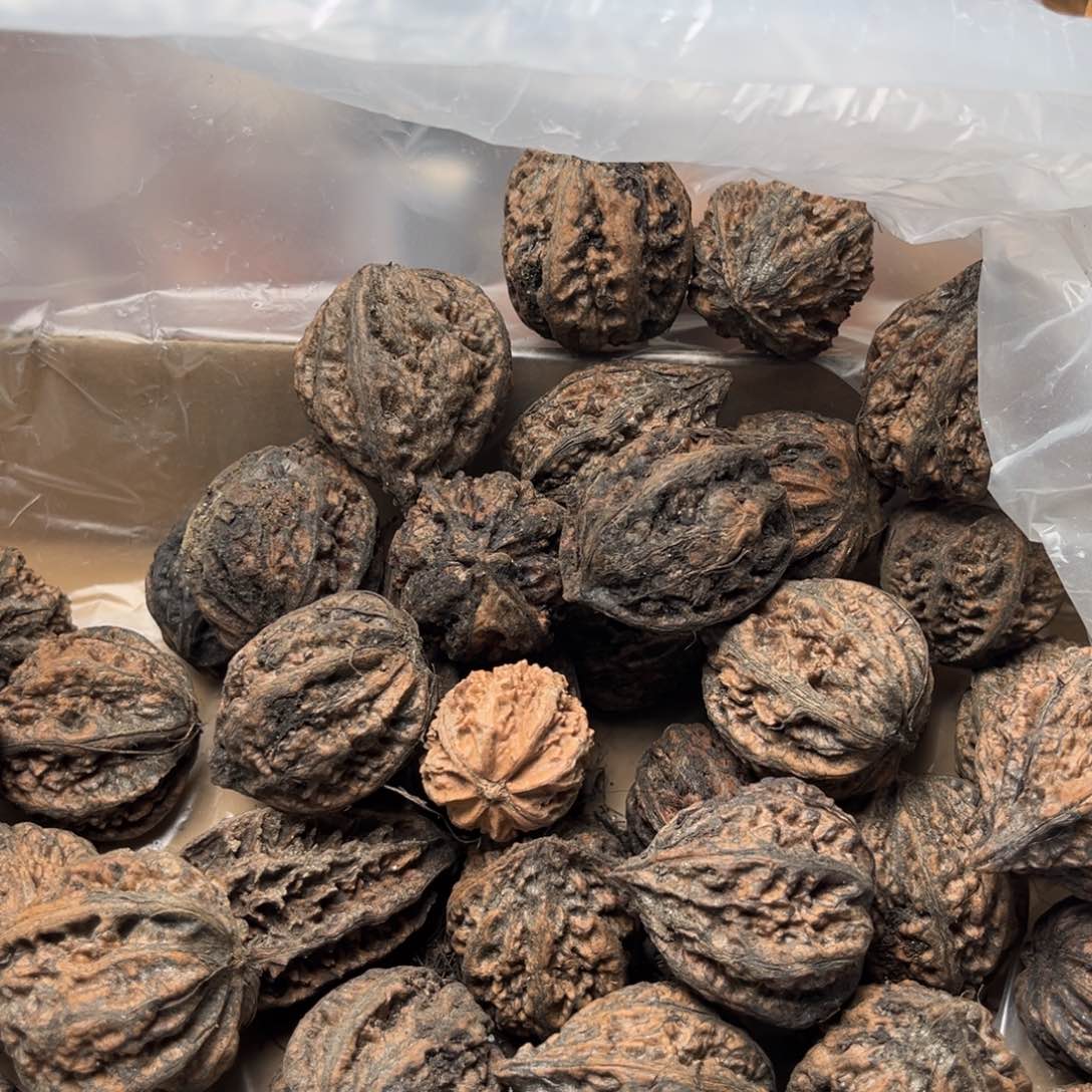 手串文玩核桃核桃44