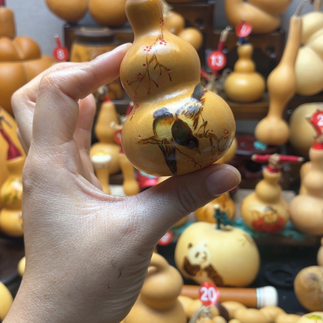 W****e大自然的秘密第十一节你是谁的小