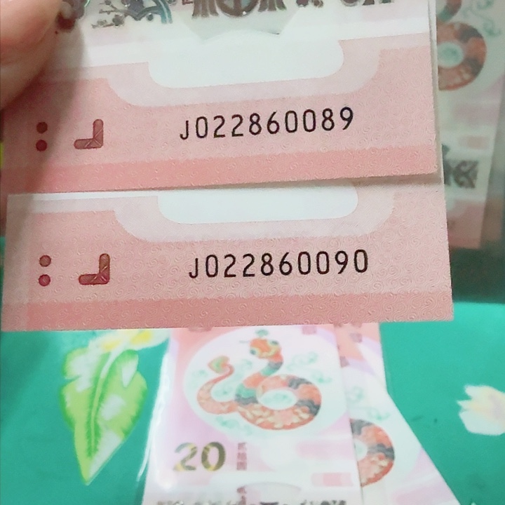 塑料022860089.022860060龙珠号2连号