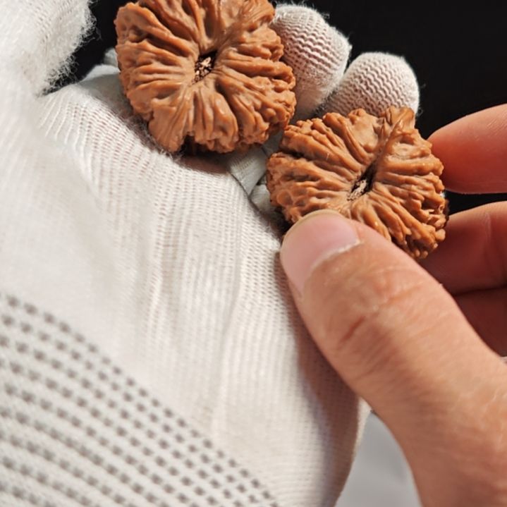 大叶紫檀（黑酸枝木类）