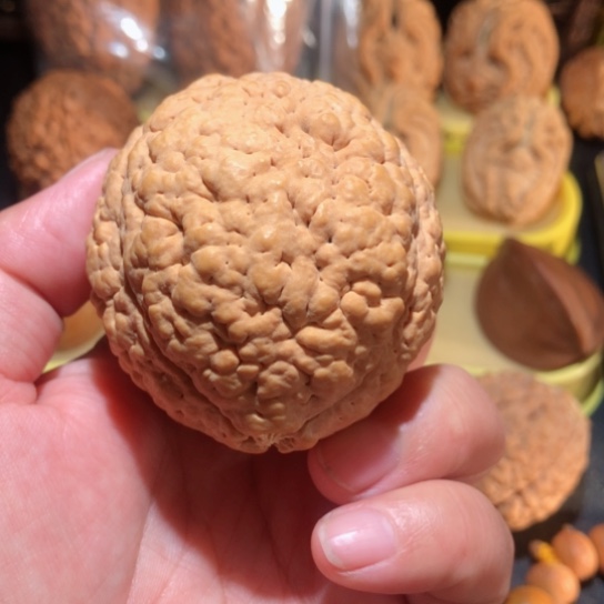 文玩核桃把件单只金刚菩提55