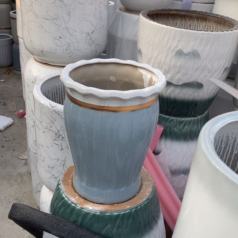 低腰花口金边南瓜中 口26/34