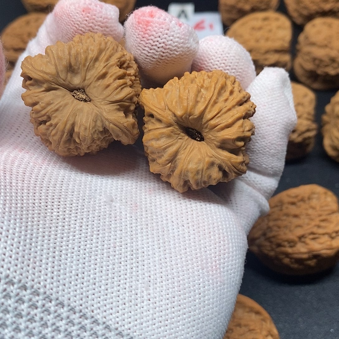 领***室37凹底南疆石核桃