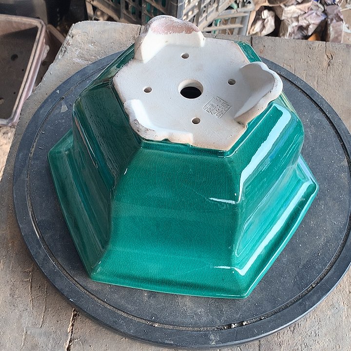 紫砂哈哈真的是太给力太火爆了