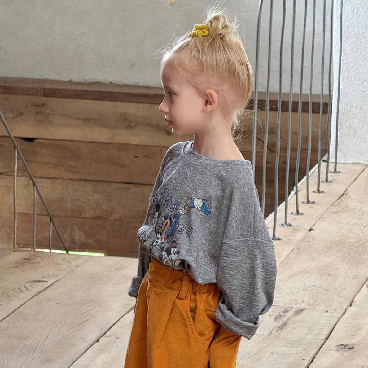 （No退换 介意勿拍)秋 特 两色 上衣5651