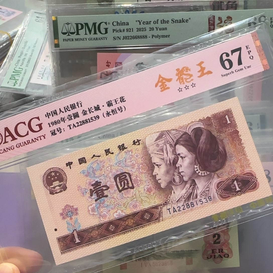 纸22881539。。。。。。金龙王
