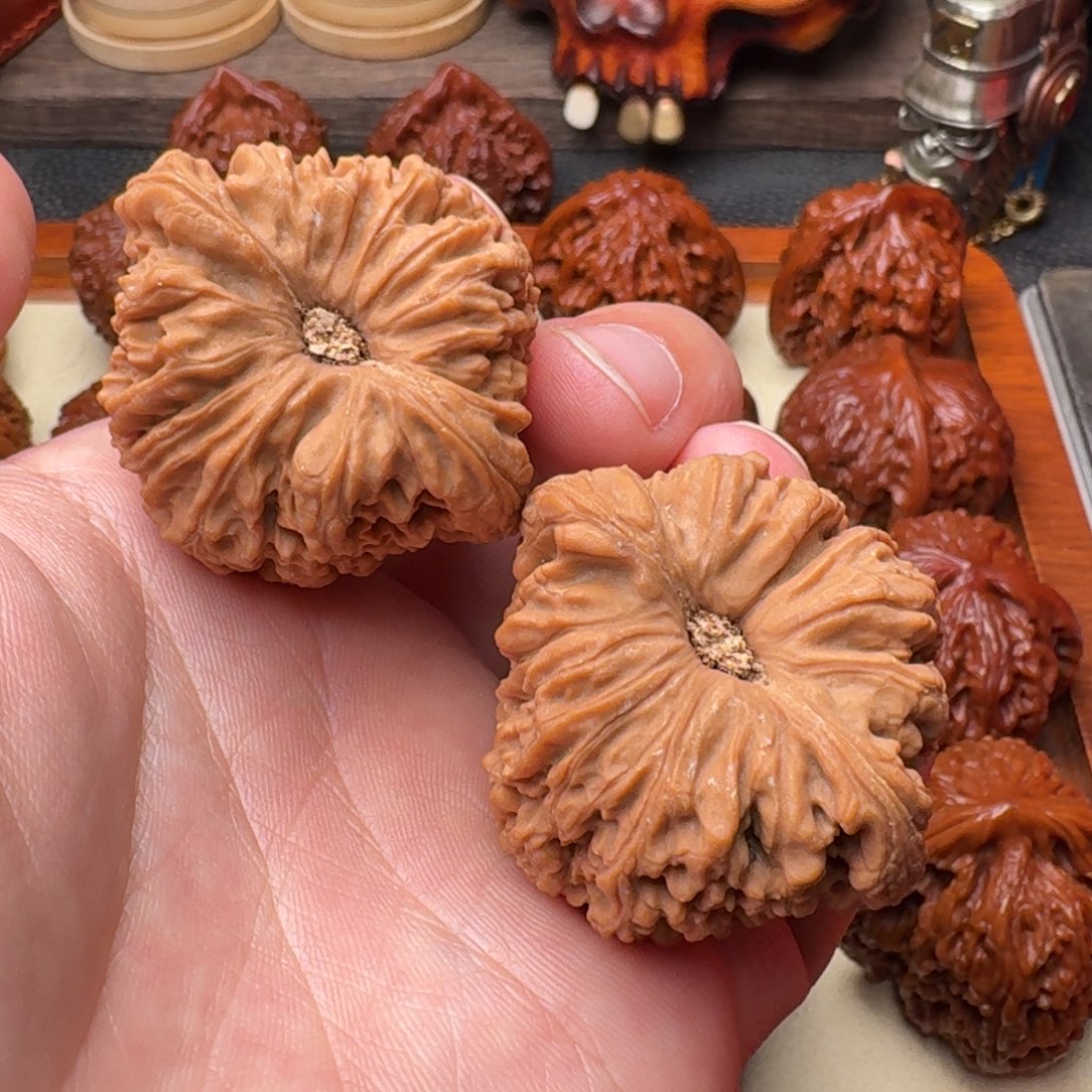 文玩核桃吊坠忠****民南疆白茶全品