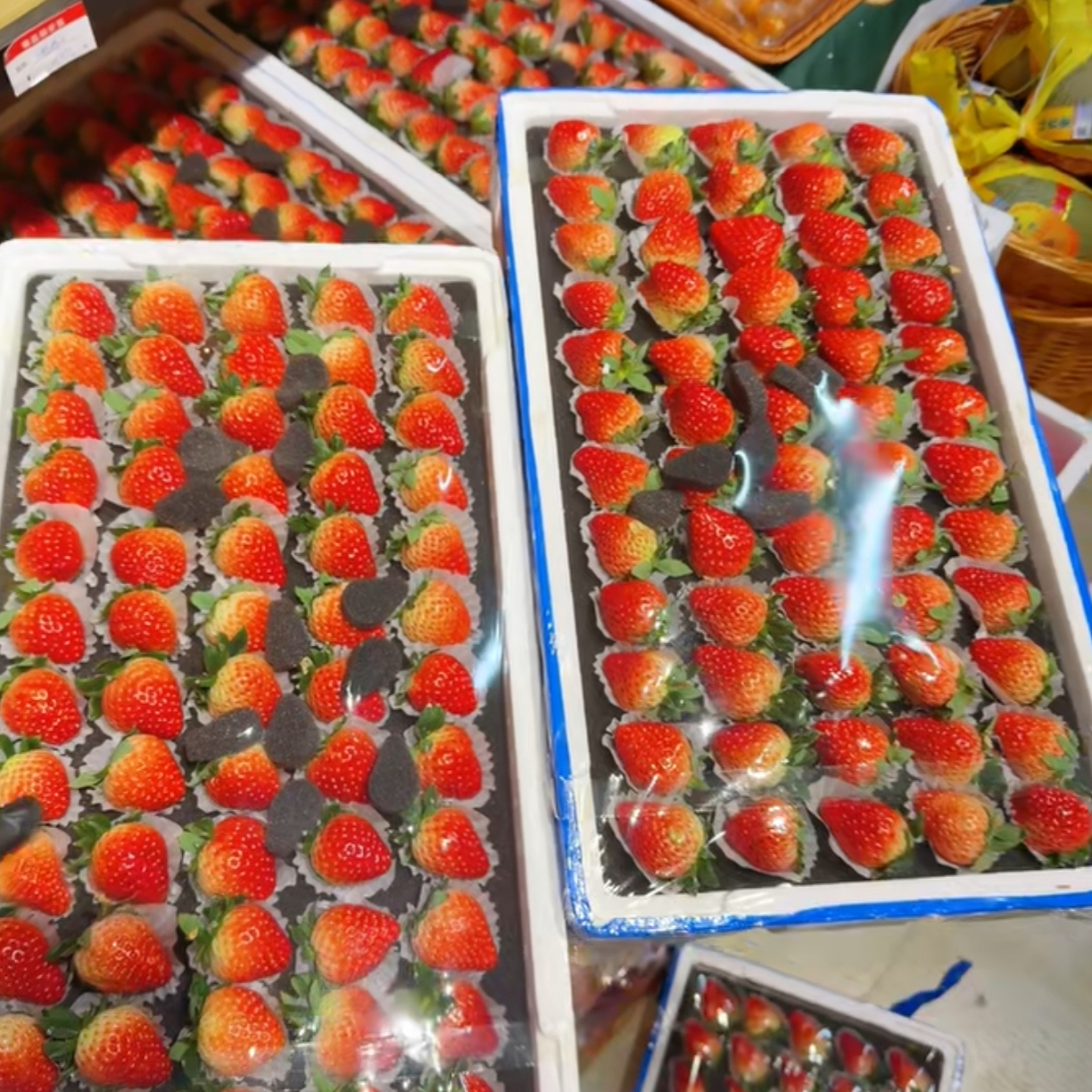 丹东九九牛奶草莓1版