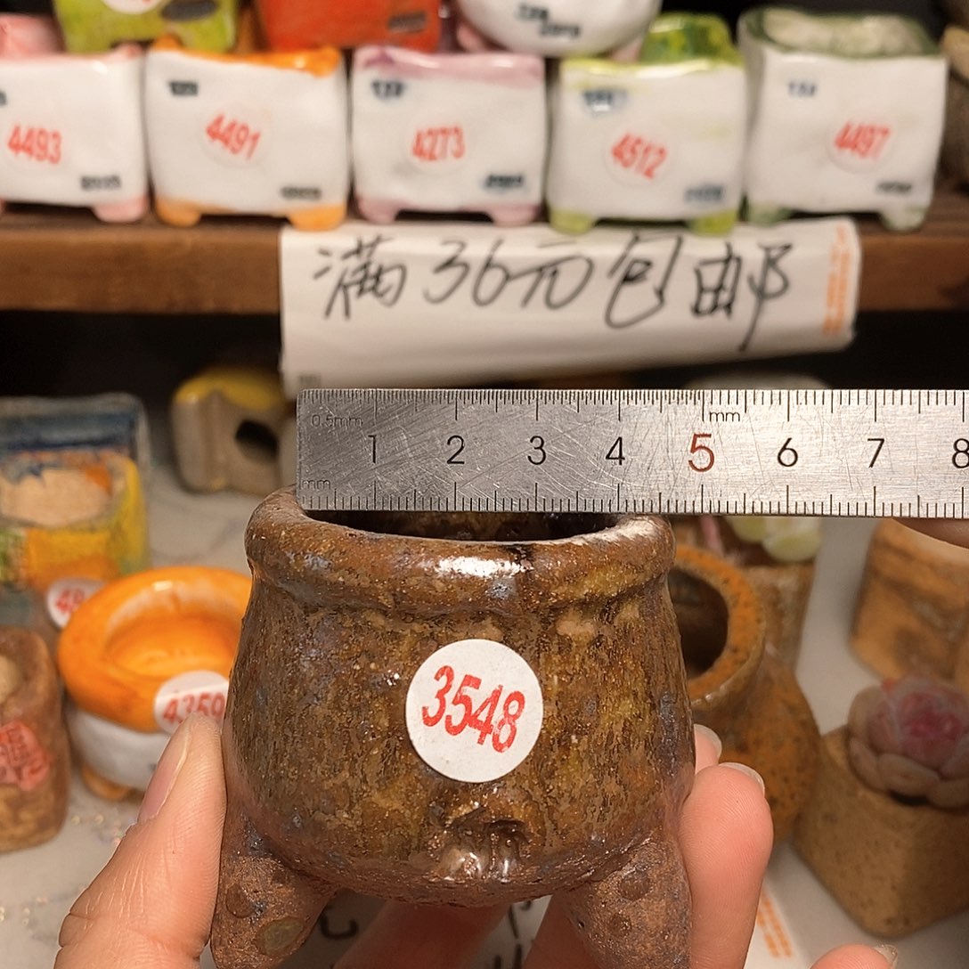 红陶拍5送一个小