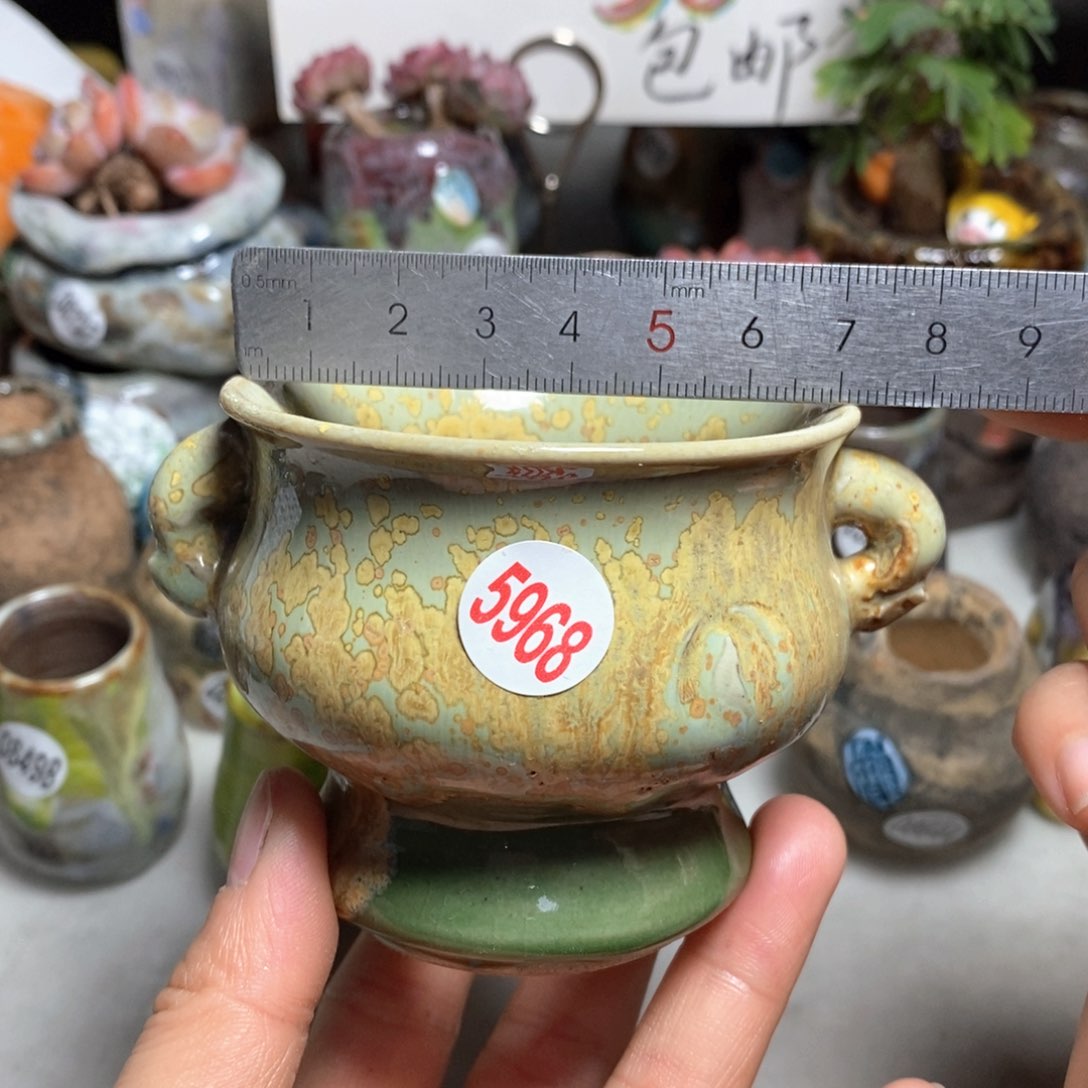 花盆拍3送一个小礼物