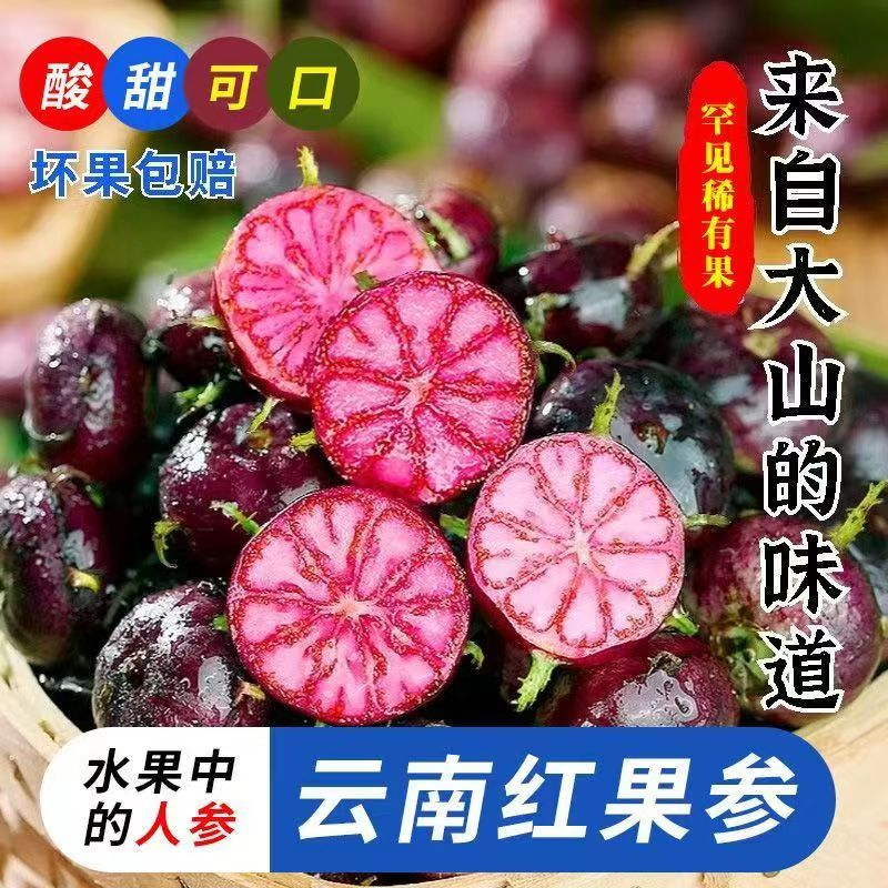 正宗云南高山红果参蜘蛛果新鲜采摘当季稀有高原水果