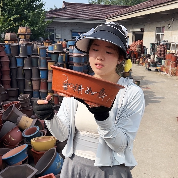 30红椭圆花盆花盆花盆