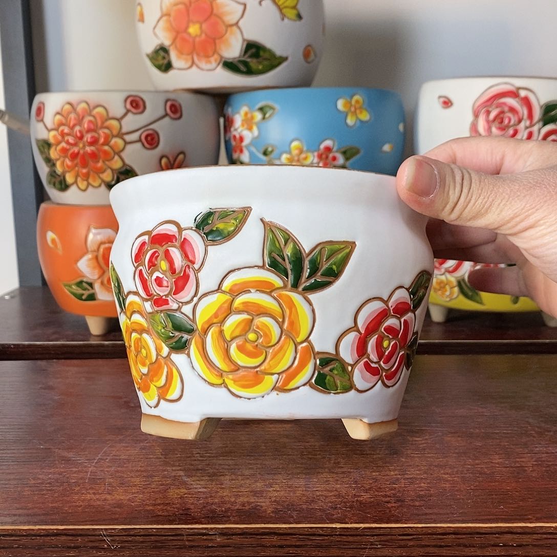 红陶满18包邮满18包邮