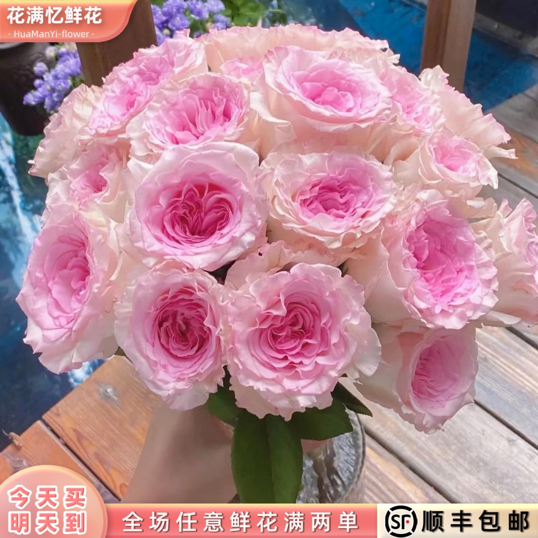 次日达 -【洛神玫瑰】10枝单头玫瑰鲜花鲜切花家居优选批发任意两单升级顺丰包邮三单送随机花瓶今天拍明天到