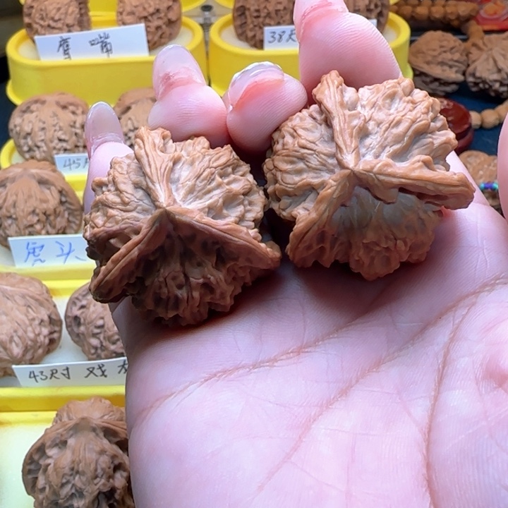 大*哥弯弯核桃，全屏三棱正奔弯弯核桃全品蹒跚三棱郑春生