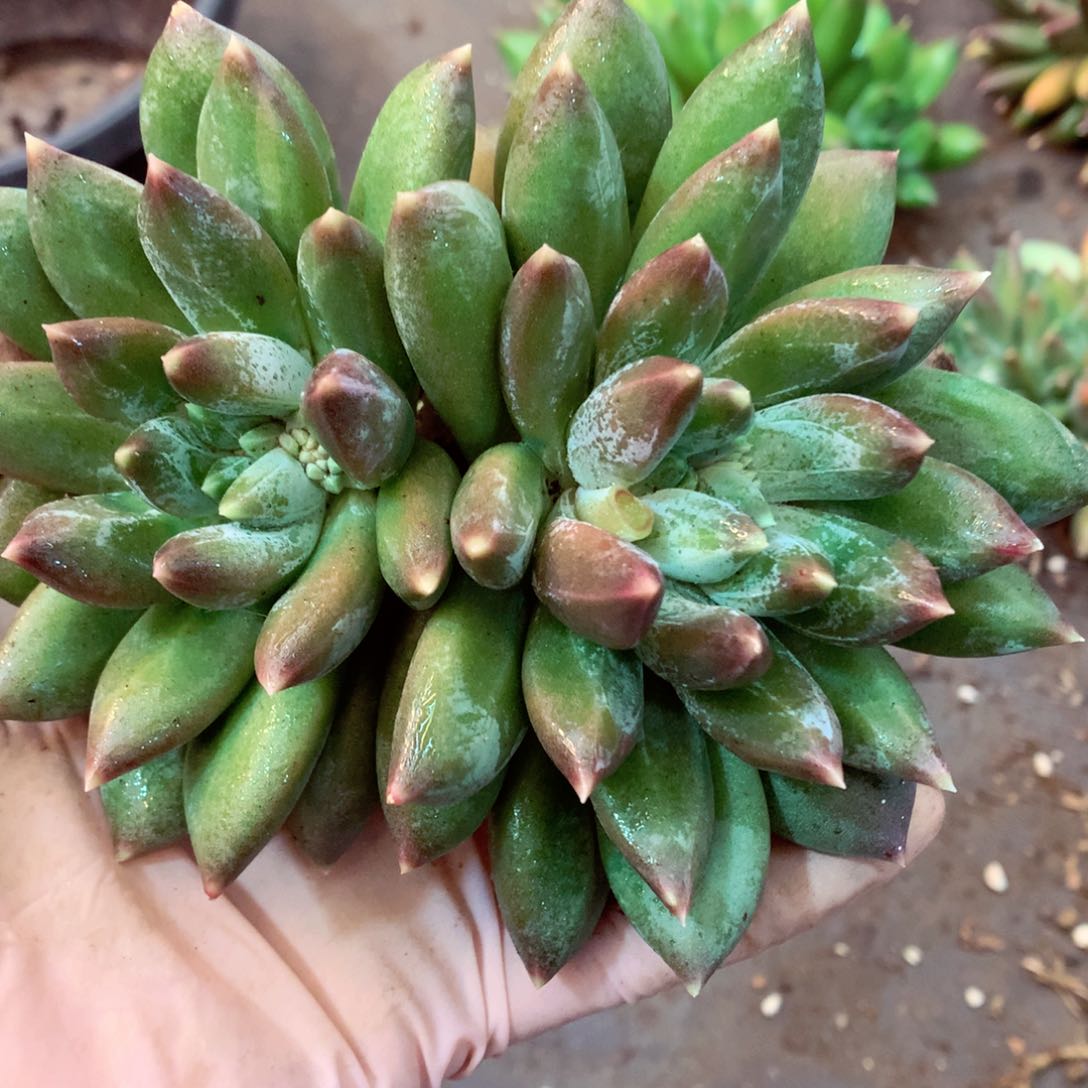 在在在在在在在在我在找小www