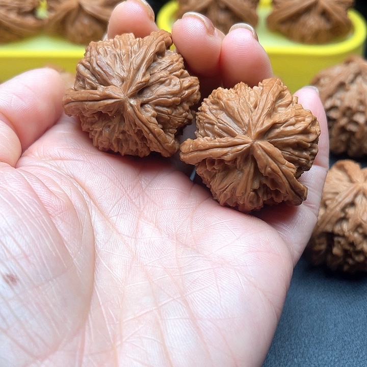 核桃38尺白狮子拼接三棱