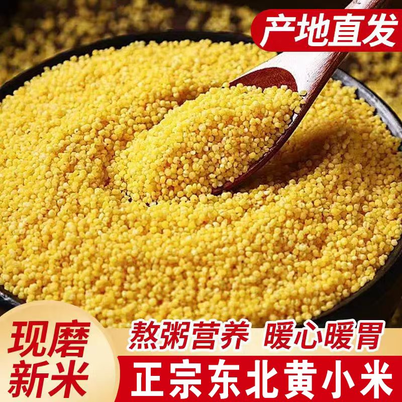 【到手5斤】黄小米金苗K1色泽金黄熬粥米油浓厚五谷杂粮