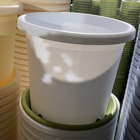 树脂四季4号纯白无托10个