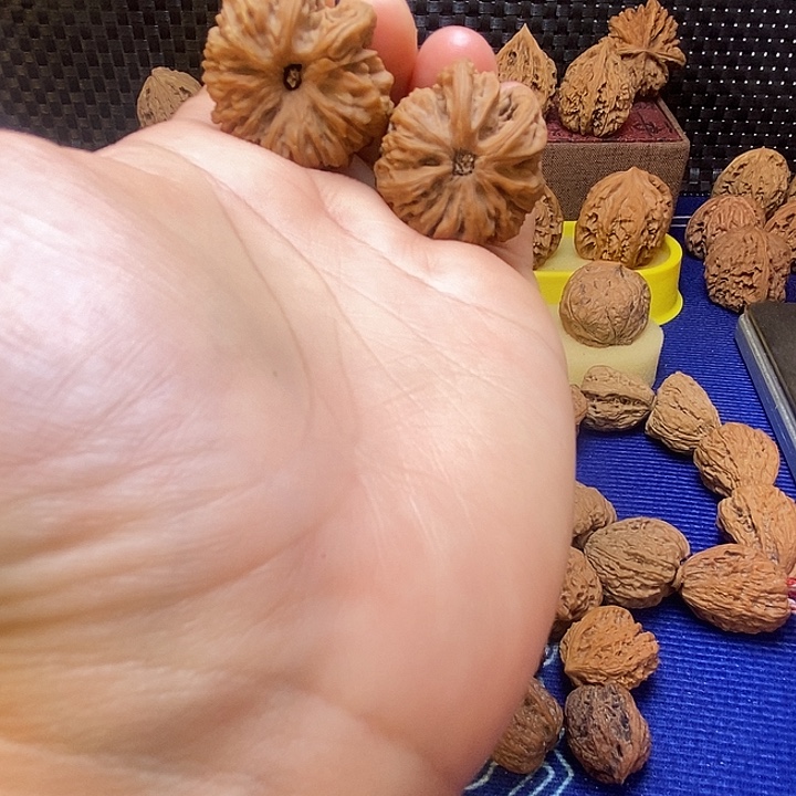 南疆石异形福利的