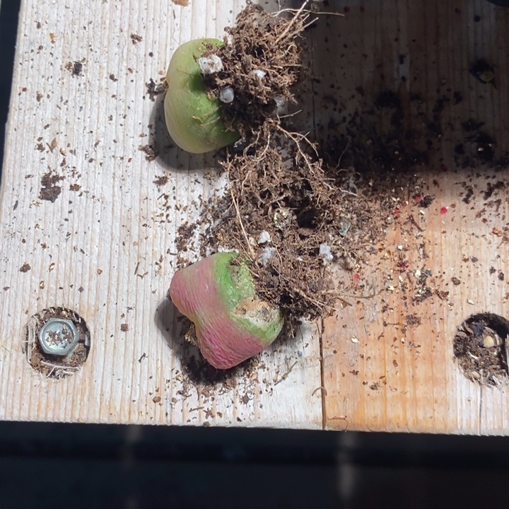 ?****022162有伤一组一组