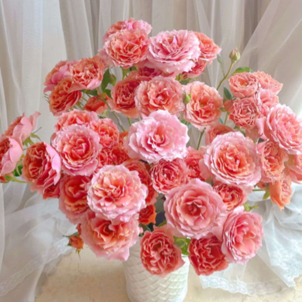 【粉色啦啦队】多头玫瑰10支