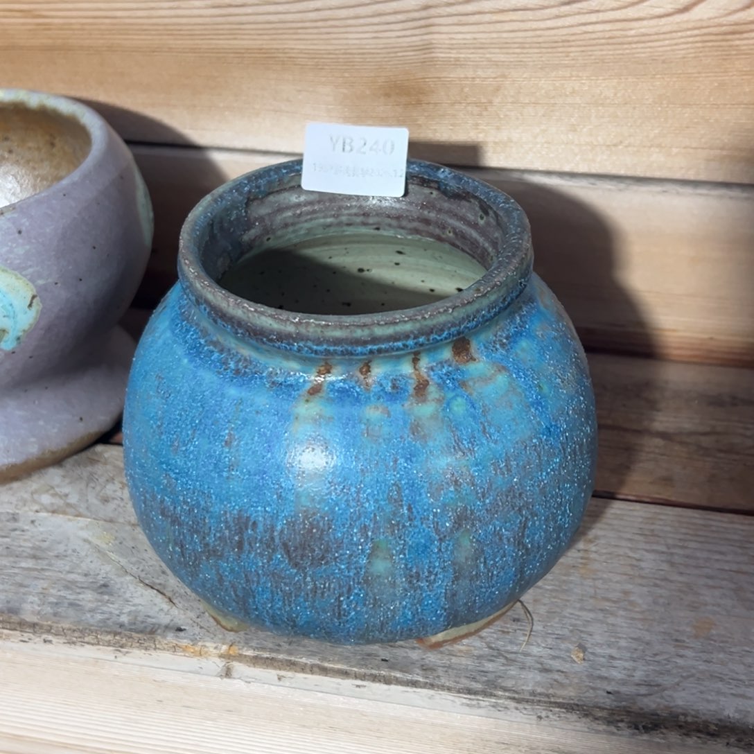 华***1987多肉花盆特价场240