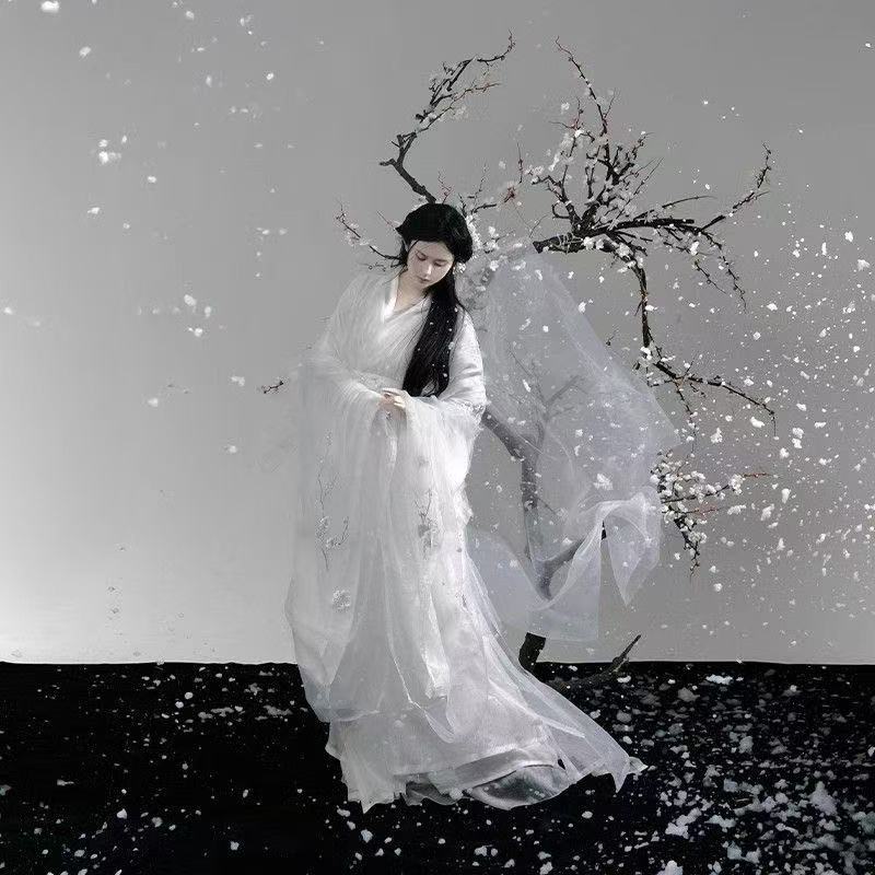新品【雪梅】花神汉服女绣花大袖衫双层交领长衫直裾清冷汉服梅花