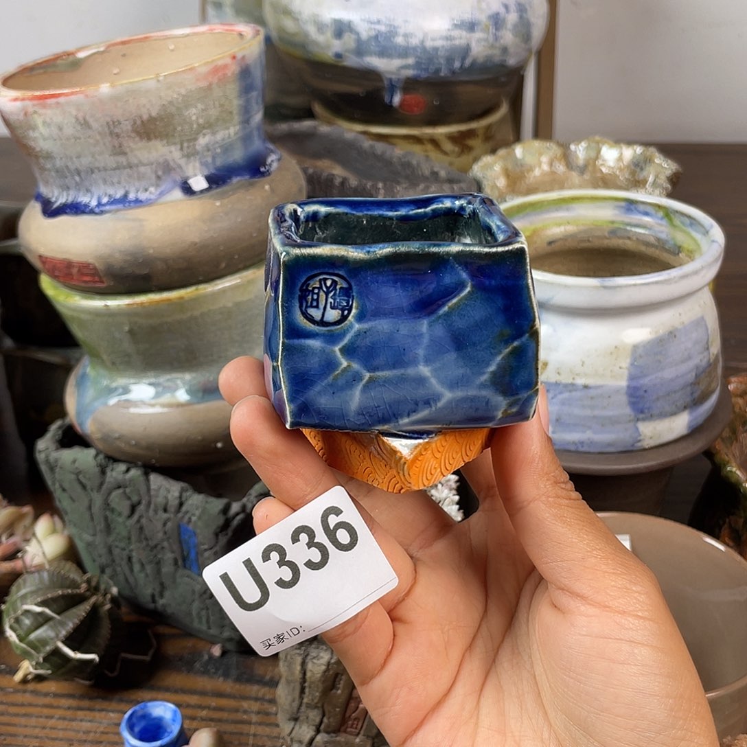 默认微次 跨年福利  坛子姐花盆