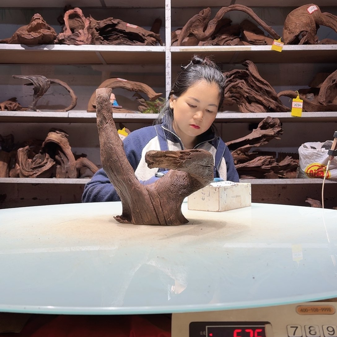 倍诸沉木不包损必褪色落**龟6279