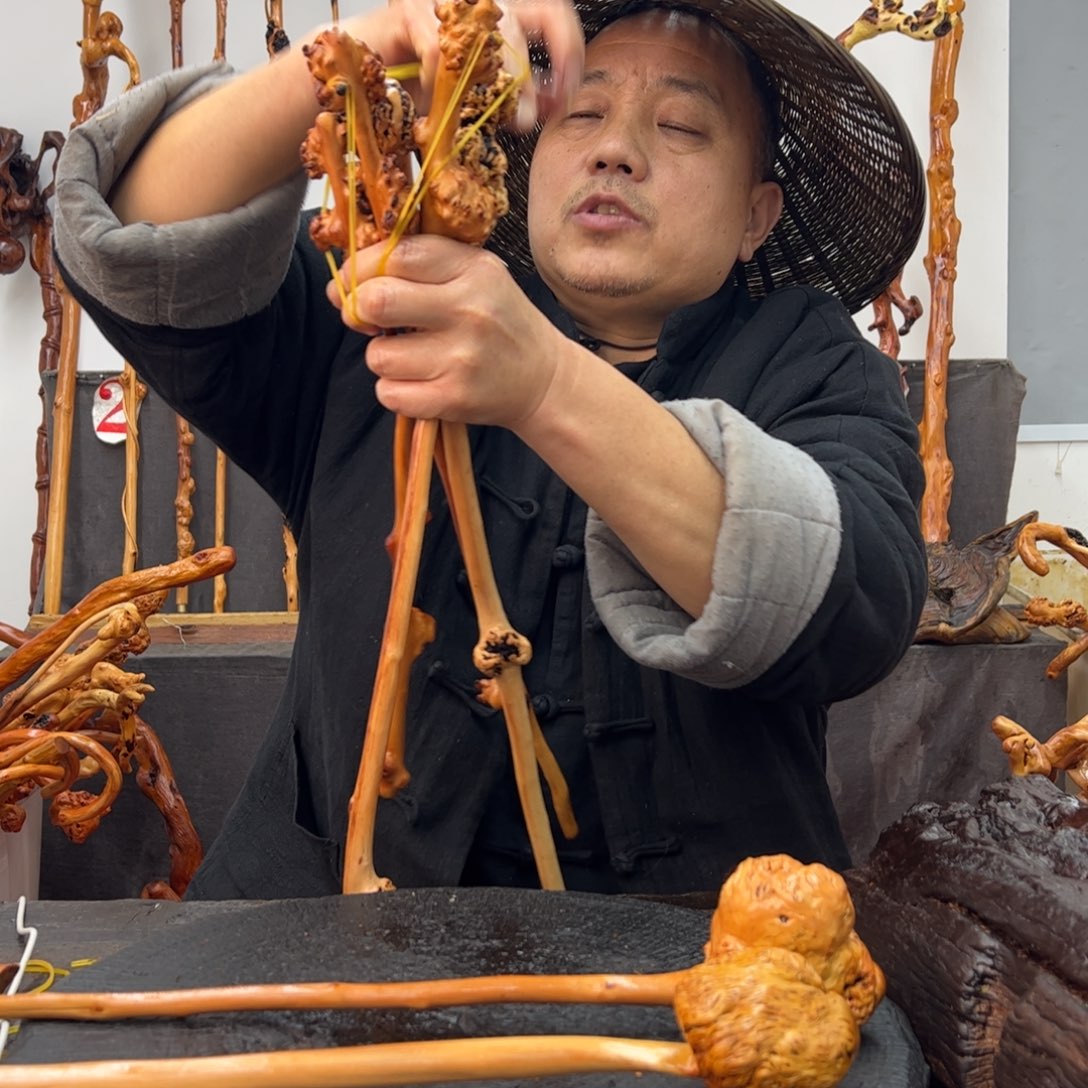 黑果木其他黑果木224