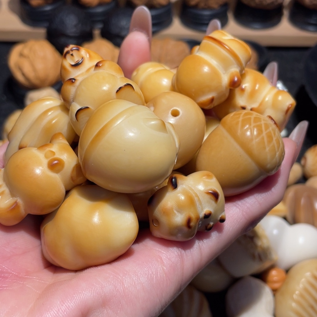 在***肉上等象牙果20个。 