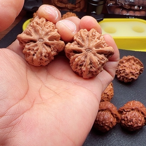 c***.吊坠文玩核桃陕西秦岭秦闷狮子头