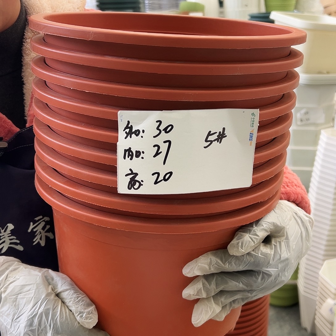 瑕疵矮胖5#红色10个无托