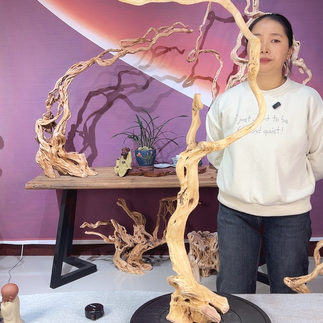 B***n木天然杜鹃根根艺摆件