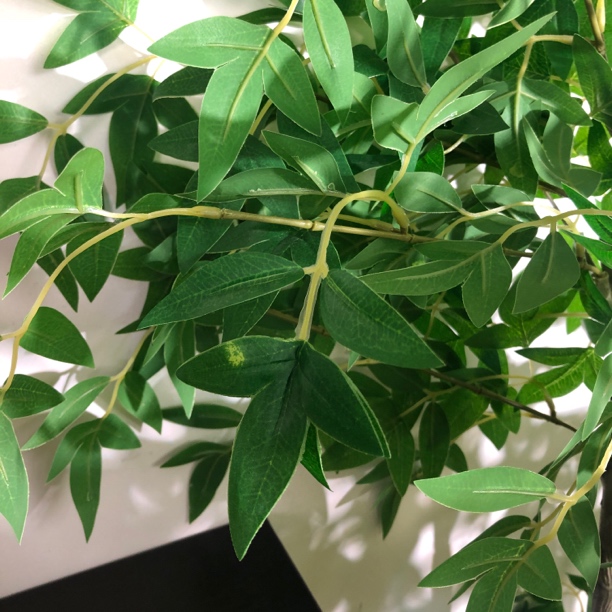 3333咕噜家治愈摆件直播一物一拍车载香薰33333