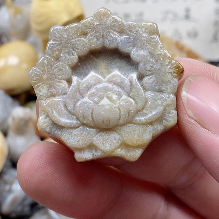 颈饰未镶嵌硅化珊瑚（珊瑚玉）小