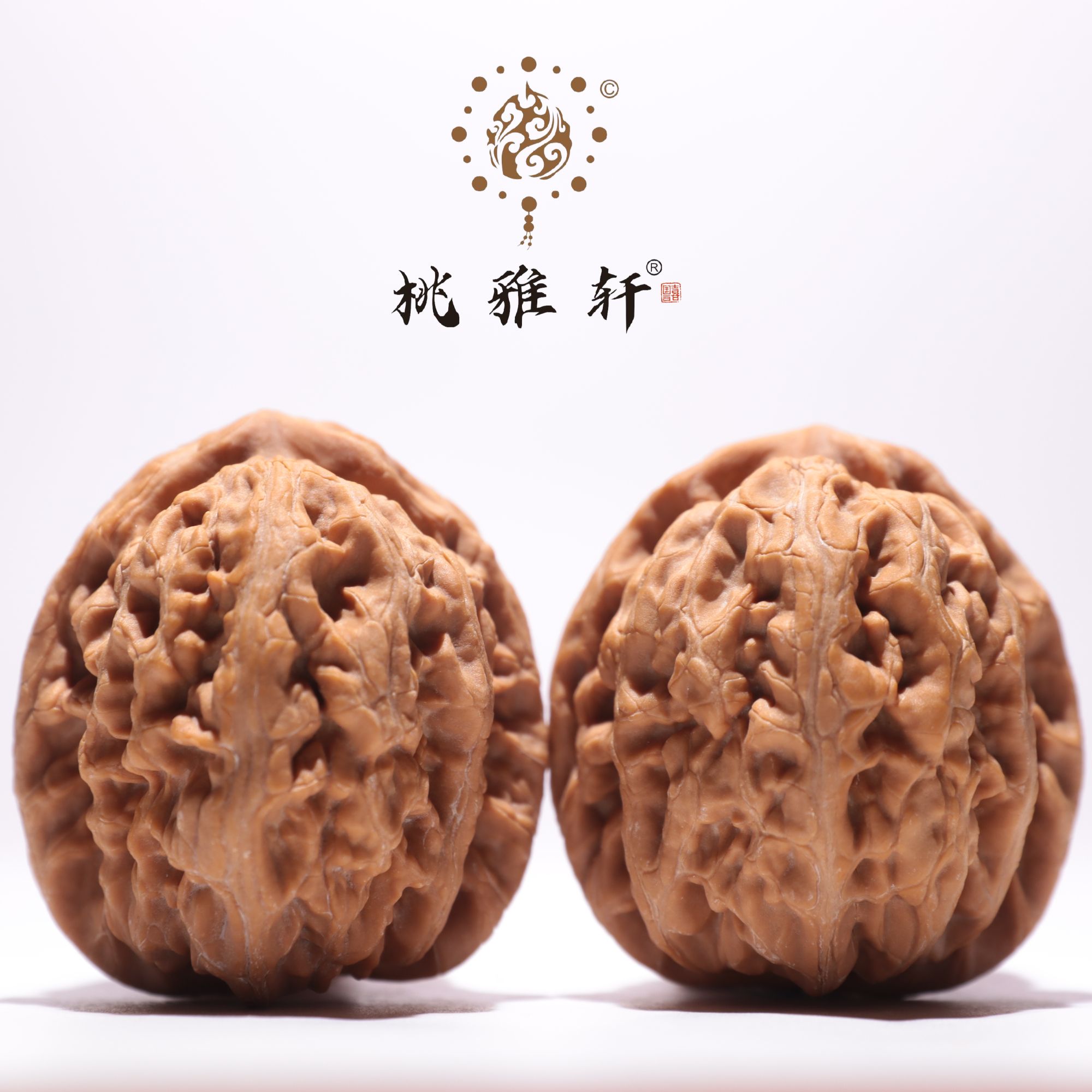 红锦鲤 · 40-42-44 一物一图 