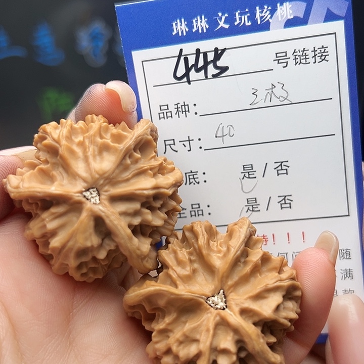 文玩核桃吊坠核桃树445