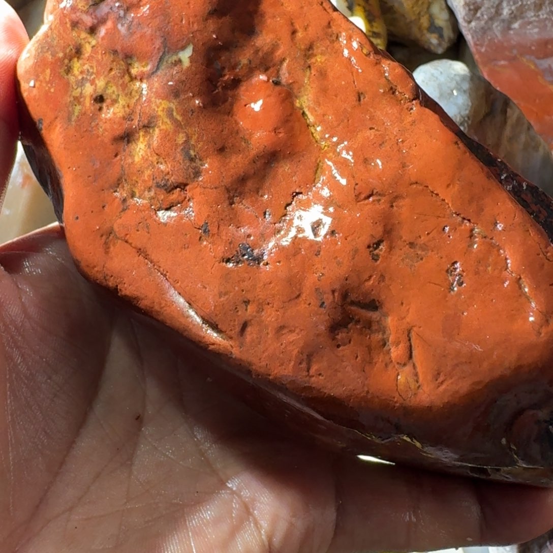 海***。寿山石89998898888999