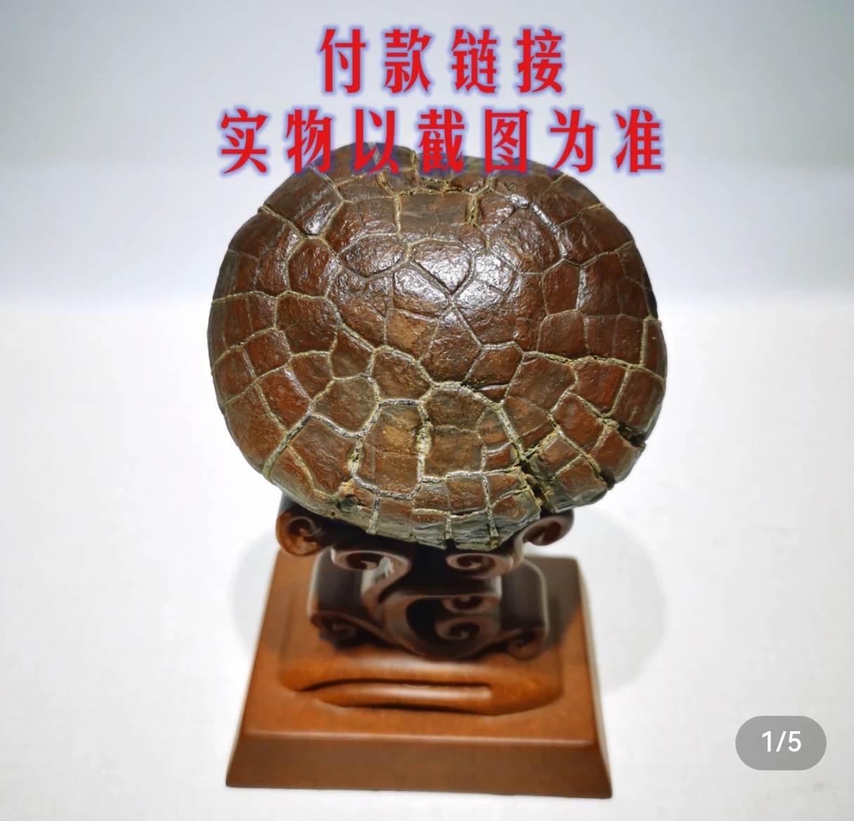 龟纹石家居饰品摆件纯天然奇石手把件观赏石精美复古案头件古铜石