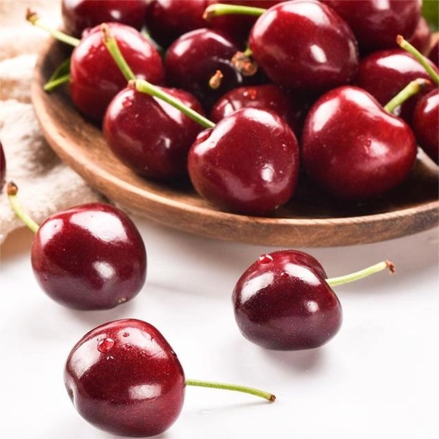 海运桑提拉JJJD车厘子5斤内附果径卡桑提娜樱桃智利共和国