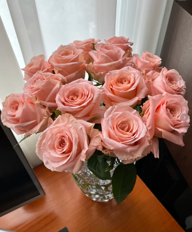 【全场任意两单包邮】微光玫瑰  